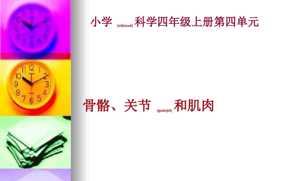 2022年医学专题—.2《骨骼关节和肌肉》kejian.ppt