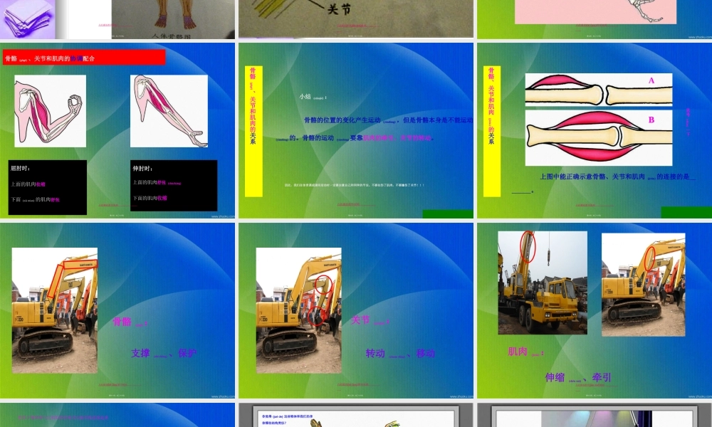 2022年医学专题—.2《骨骼关节和肌肉》kejian.ppt