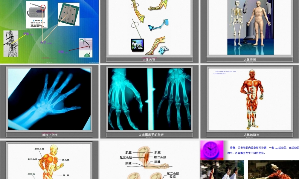 2022年医学专题—.2《骨骼关节和肌肉》kejian.ppt