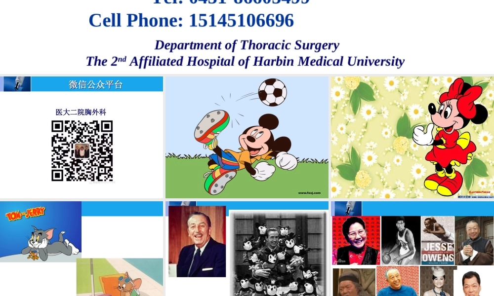 152肿瘤科-肺癌-新 - 副本(1).ppt