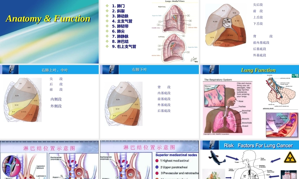 152肿瘤科-肺癌-新 - 副本(1).ppt