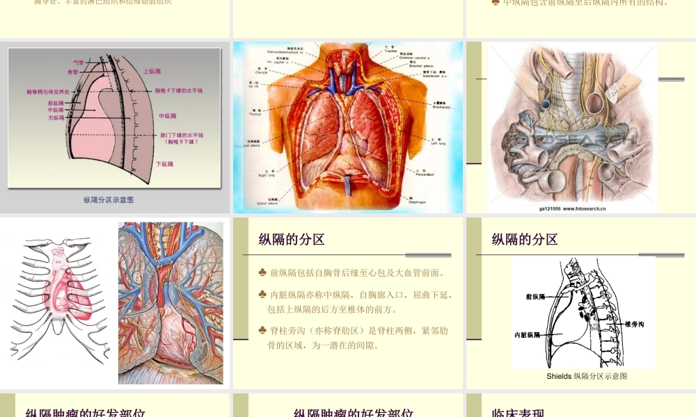 154肿瘤科-纵隔肿瘤(1).ppt