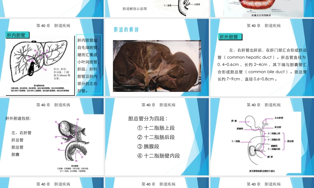 108外科-胆道疾病(1).ppt