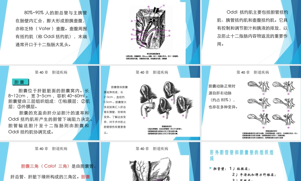 108外科-胆道疾病(1).ppt