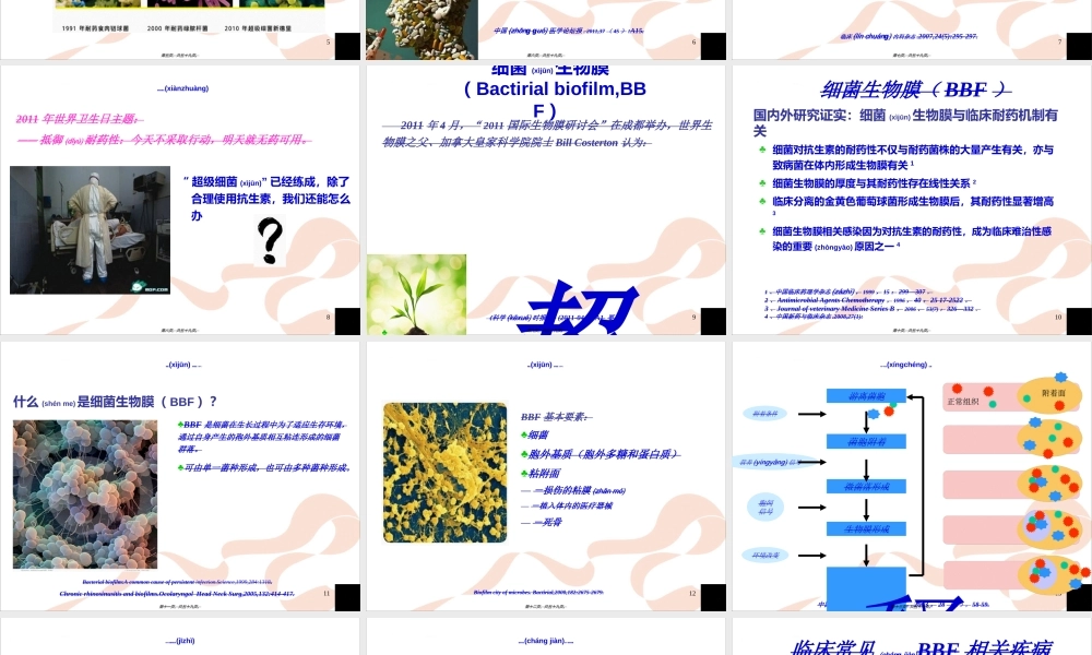 2022年医学专题—BBF与耐药的关系及应对措施.ppt