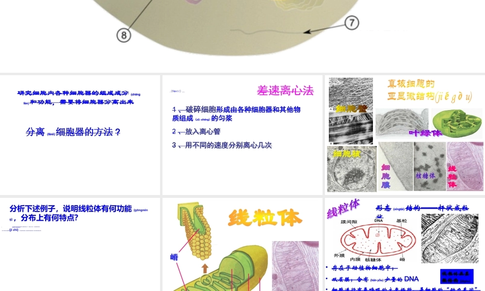 2022年医学专题—《细胞器——系统内的分工合作》(共48张PPT).ppt