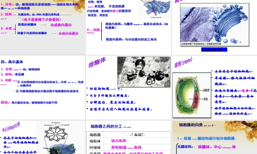 2022年医学专题—《细胞器——系统内的分工合作》(共48张PPT).ppt