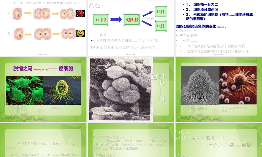 2022年医学专题—《细胞通过分裂产生新细胞》.ppt