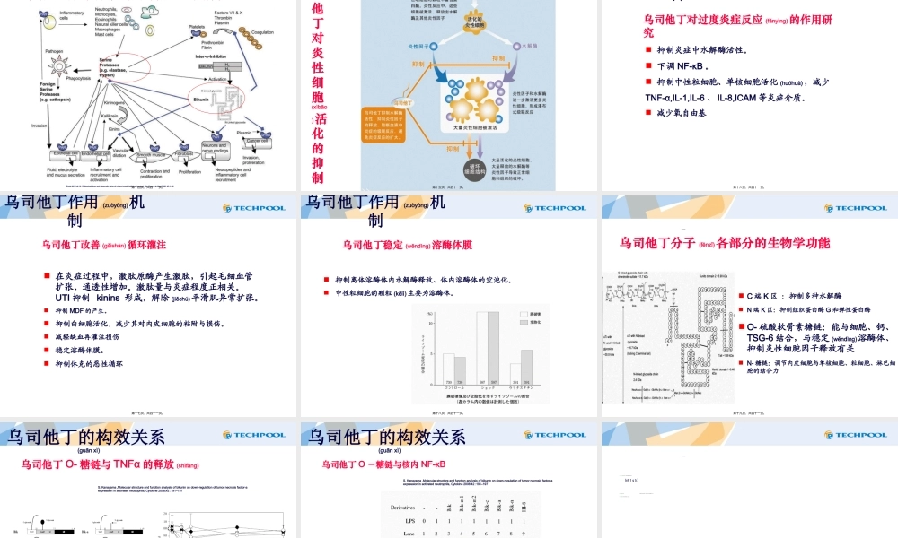 2022年医学专题—乌司他丁药理药效及相关药品简介.ppt