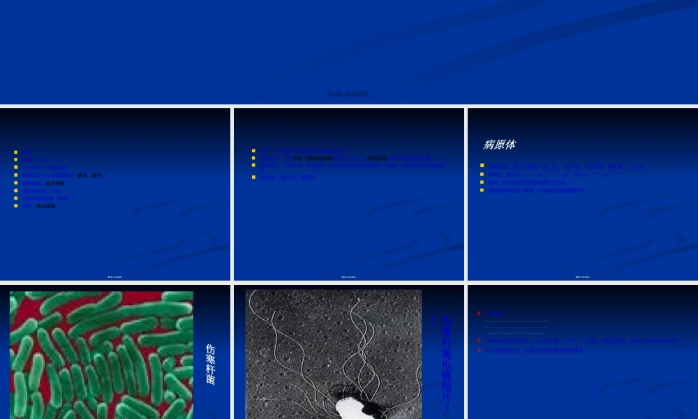 2022年医学专题—伤寒.ppt