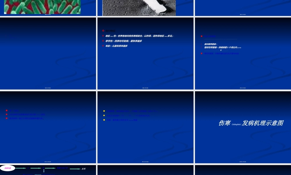 2022年医学专题—伤寒.ppt