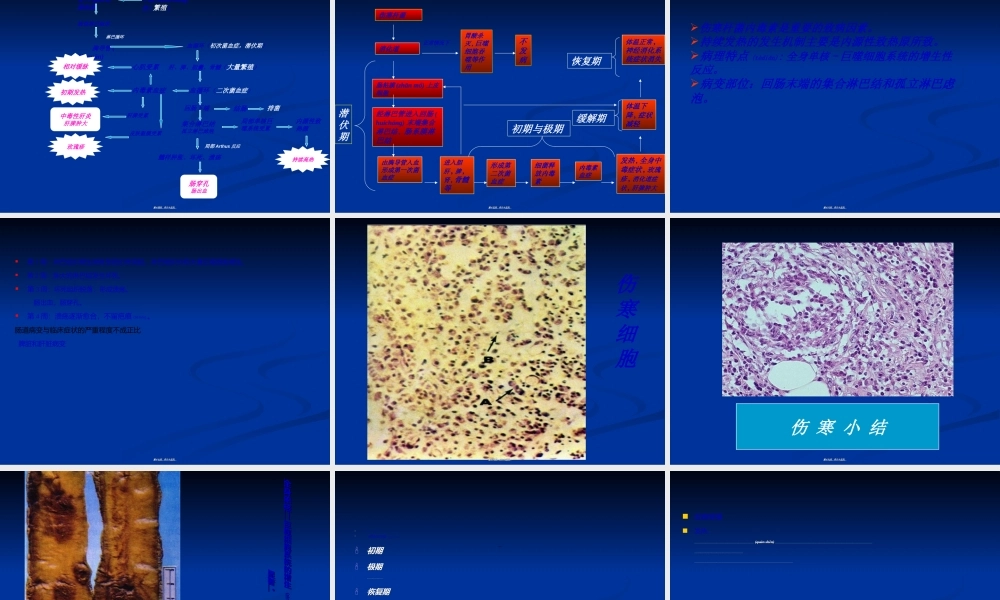 2022年医学专题—伤寒.ppt