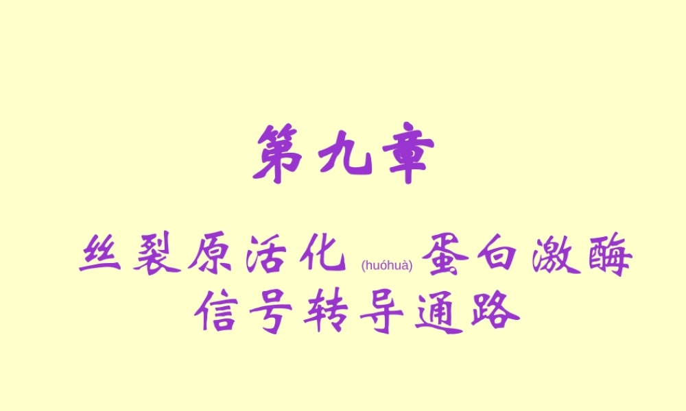 2022年医学专题—丝裂原活化蛋白激酶.ppt