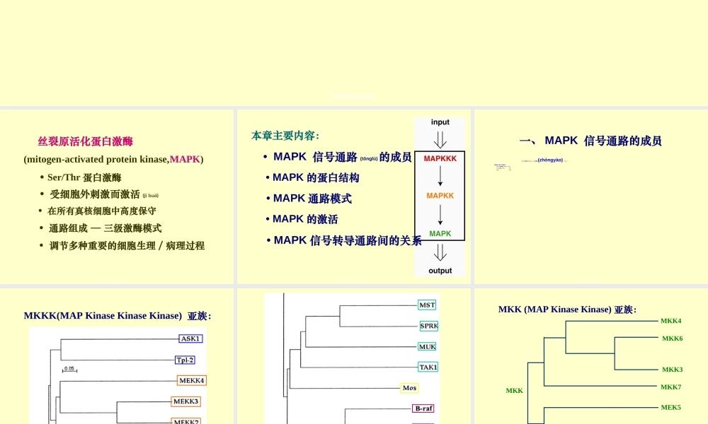 2022年医学专题—丝裂原活化蛋白激酶.ppt