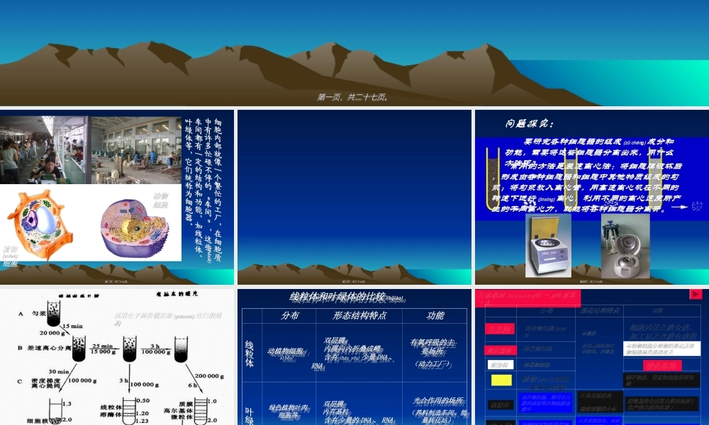 2022年医学专题—分工与合作--细胞器3.2ppt.ppt