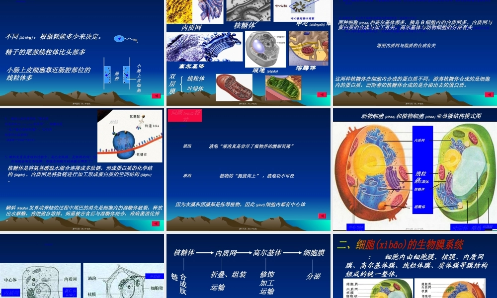 2022年医学专题—分工与合作--细胞器3.2ppt.ppt