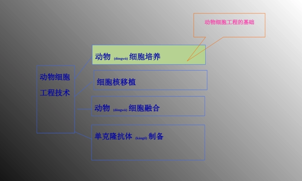 2022年医学专题—分瓶细胞株细胞细胞系动物细胞培养过程.ppt