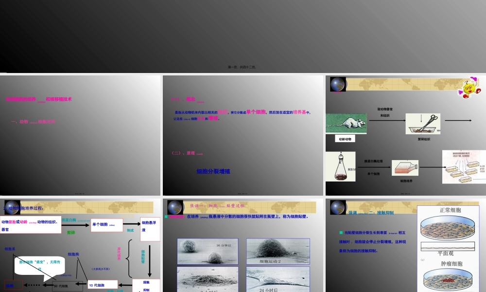 2022年医学专题—分瓶细胞株细胞细胞系动物细胞培养过程.ppt