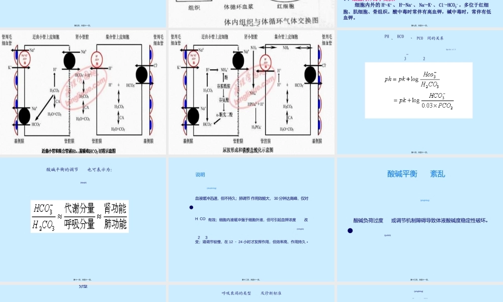 2022年医学专题—动脉血气分析结果的分析.ppt