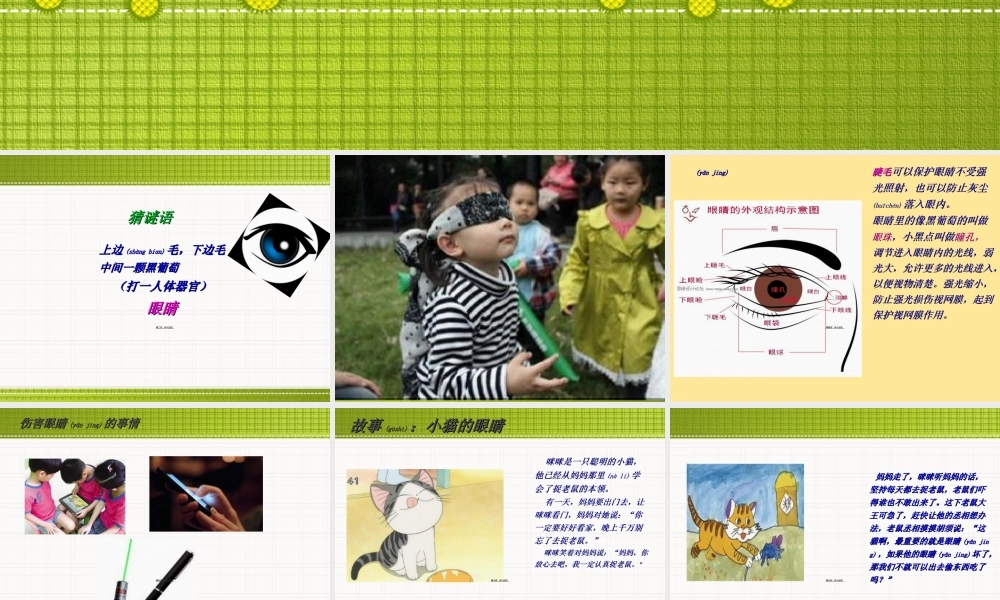 2022年医学专题—大班健康眼睛的秘密.ppt