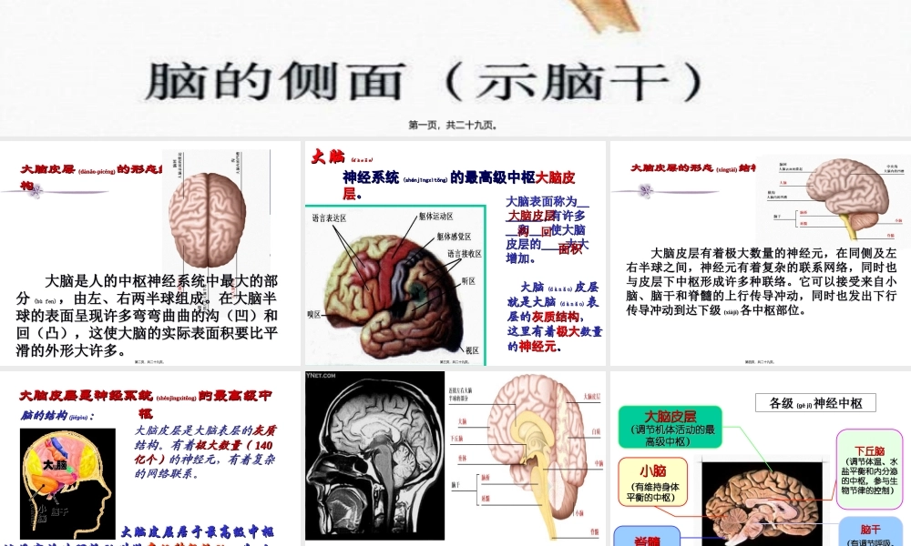2022年医学专题—大脑皮层是神经系统的最高级中枢.ppt