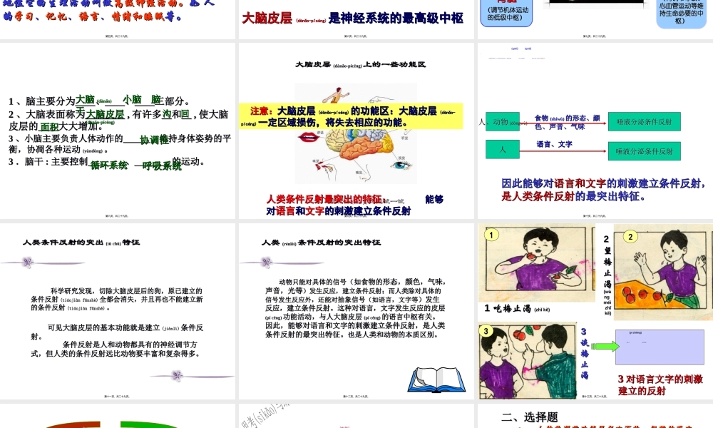 2022年医学专题—大脑皮层是神经系统的最高级中枢.ppt