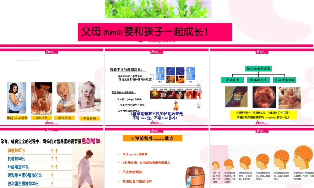 2022年医学专题—婴幼儿大脑发育的奥秘.ppt