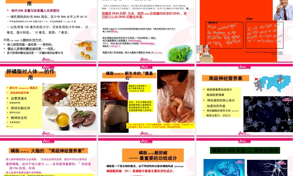 2022年医学专题—婴幼儿大脑发育的奥秘.ppt