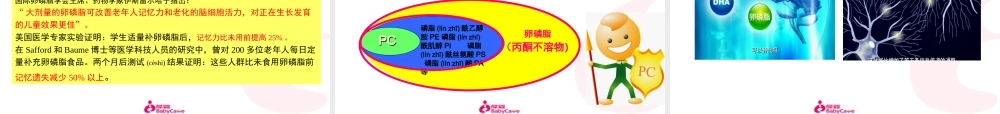 2022年医学专题—婴幼儿大脑发育的奥秘.ppt