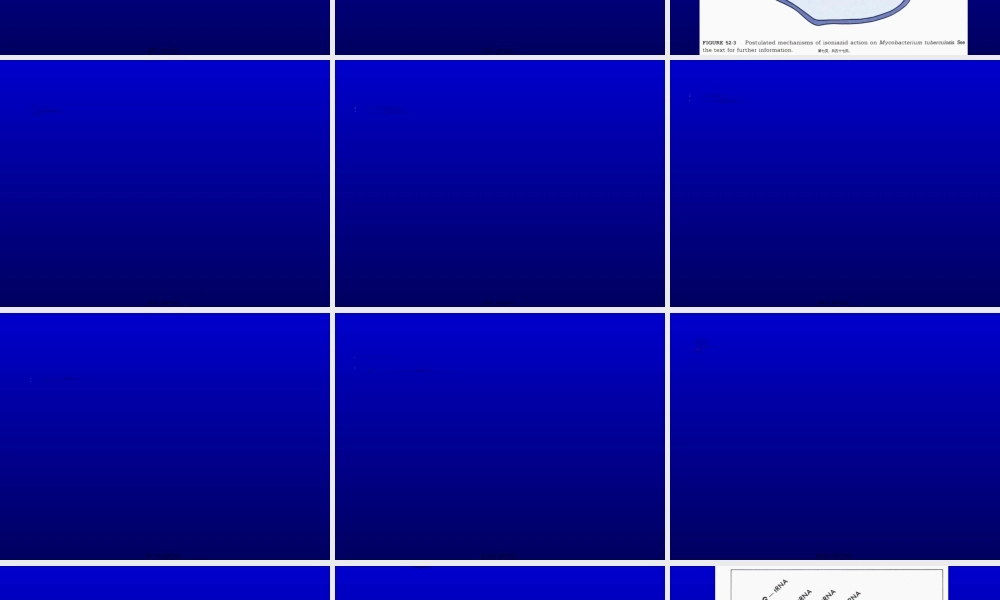 2022年医学专题—抗结核病药及抗麻风病药..ppt