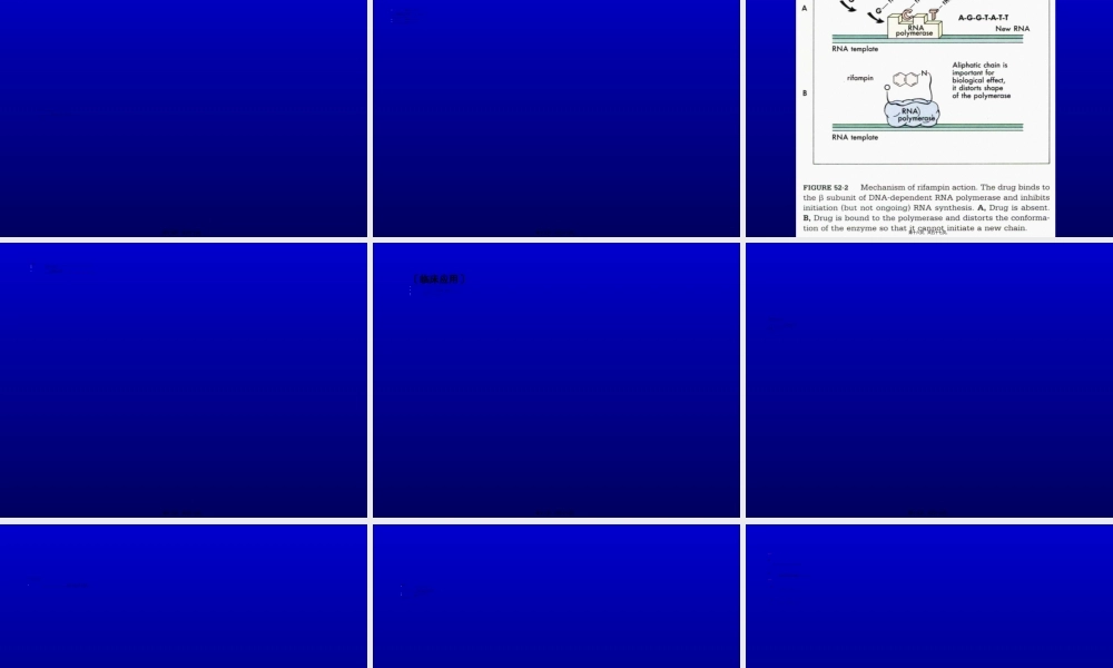 2022年医学专题—抗结核病药及抗麻风病药..ppt