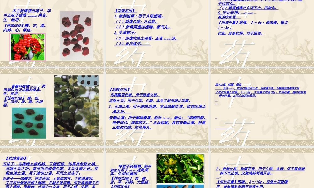 2022年医学专题—收涩药.ppt