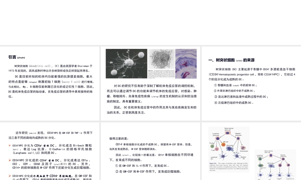 2022年医学专题—树突状细胞简介.ppt
