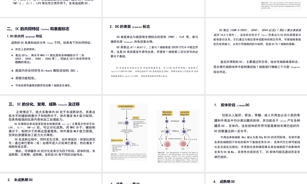 2022年医学专题—树突状细胞简介.ppt