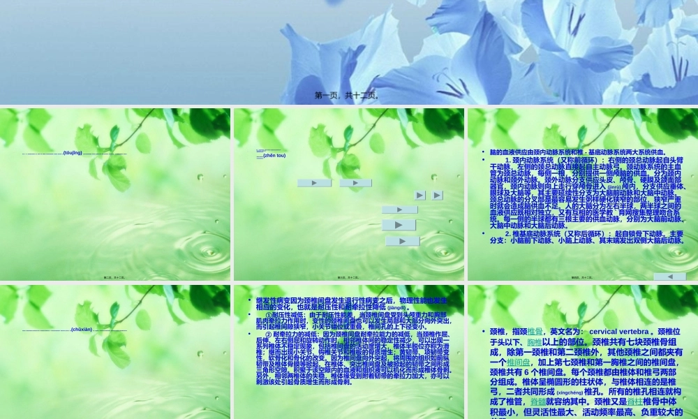 2022年医学专题—案例一-颈椎病浅谈.ppt