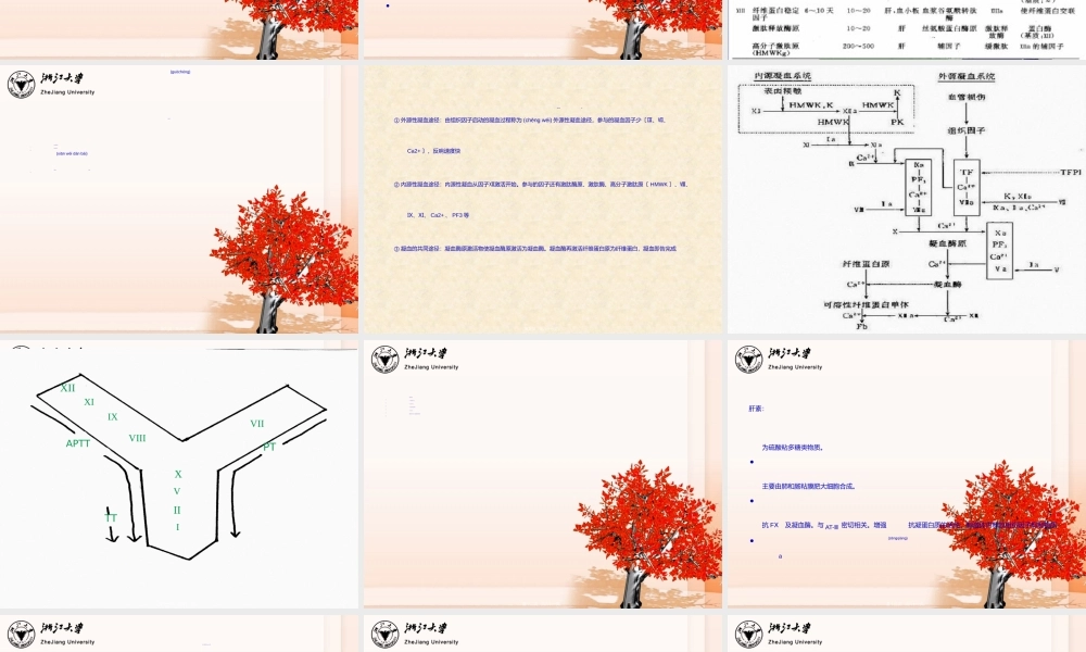 2022年医学专题—止血和血栓检测-杜华平.ppt