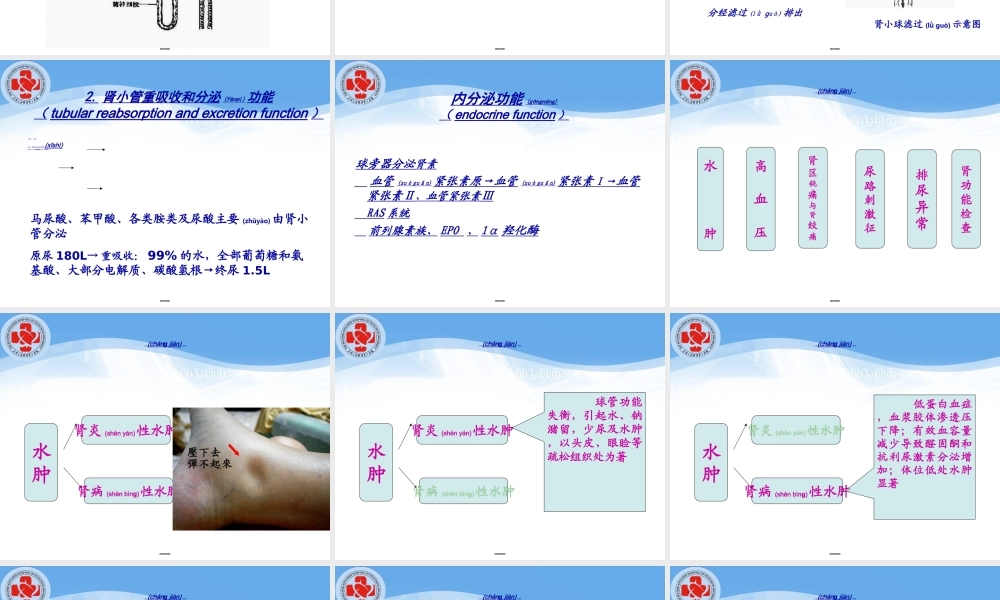 2022年医学专题—泌尿系统总论.ppt