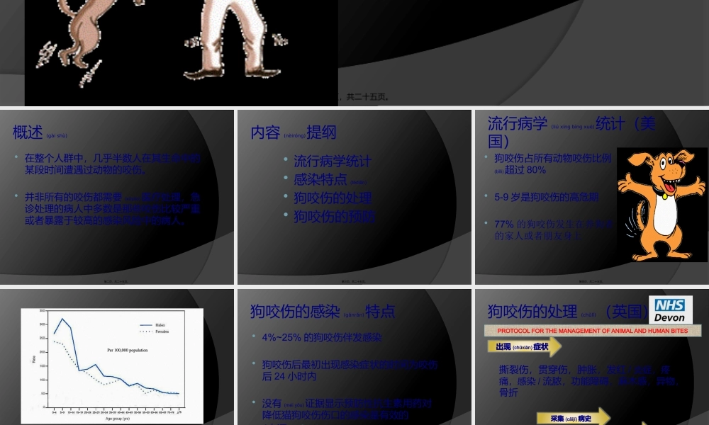2022年医学专题—狗咬伤的处理.pptx