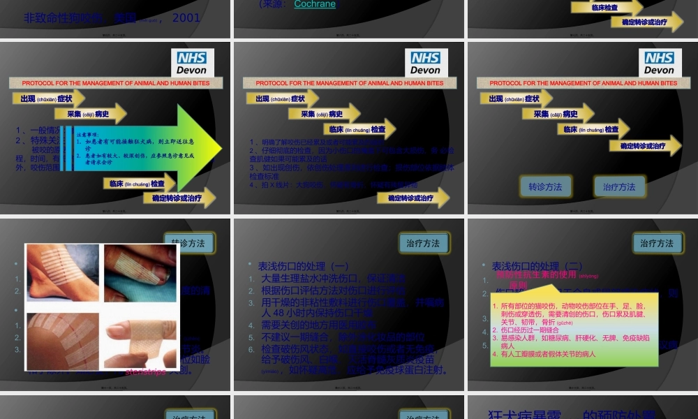 2022年医学专题—狗咬伤的处理.pptx