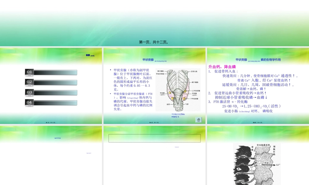 2022年医学专题—甲状旁腺激素的调节.ppt