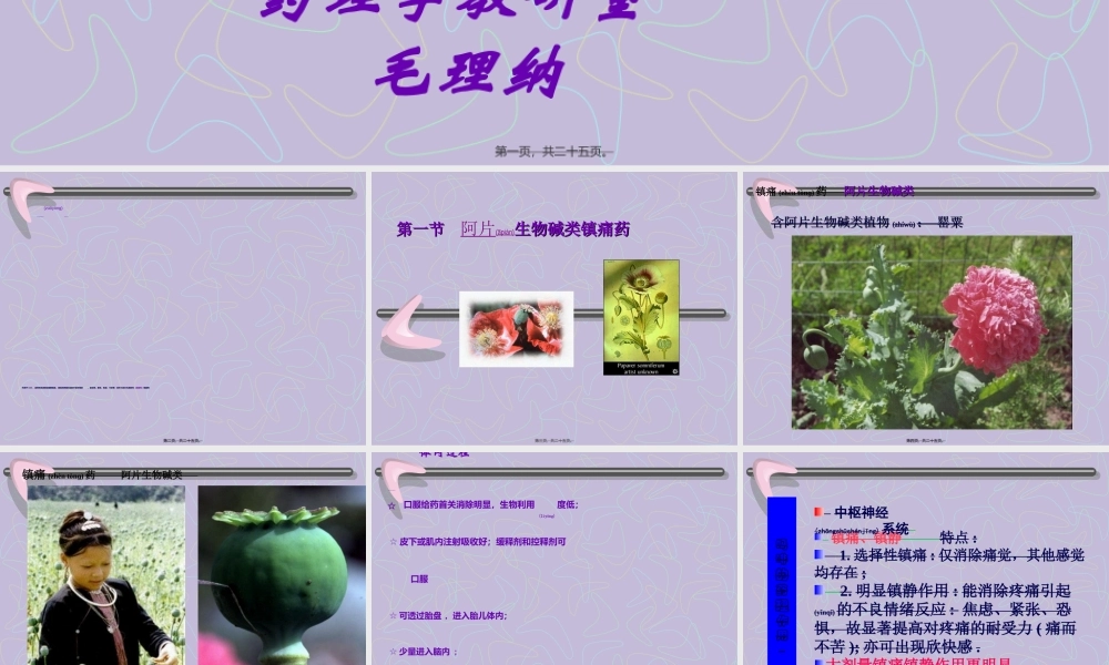 2022年医学专题—第16章镇痛药-毛理纳.ppt