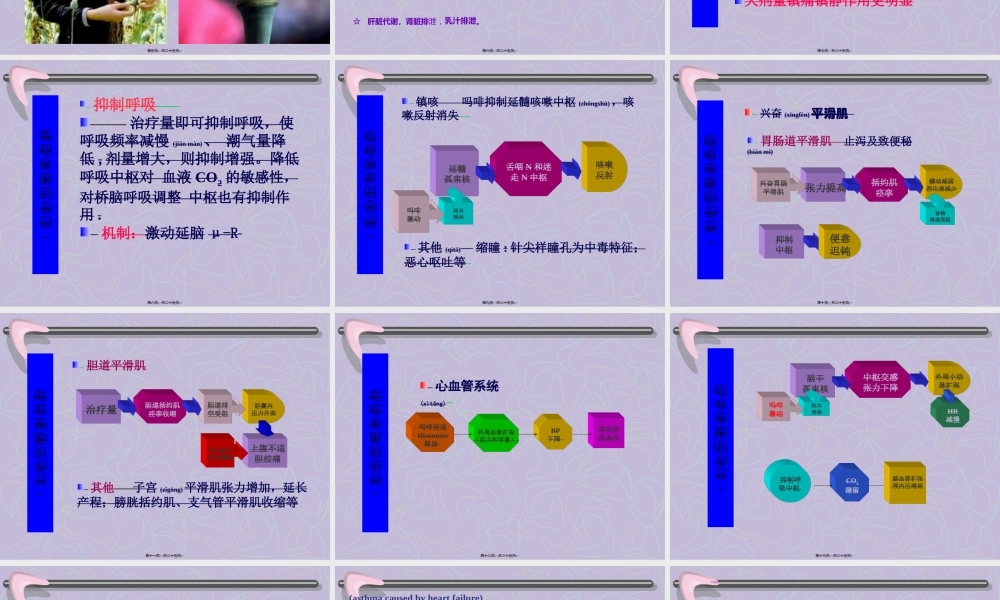 2022年医学专题—第16章镇痛药-毛理纳.ppt