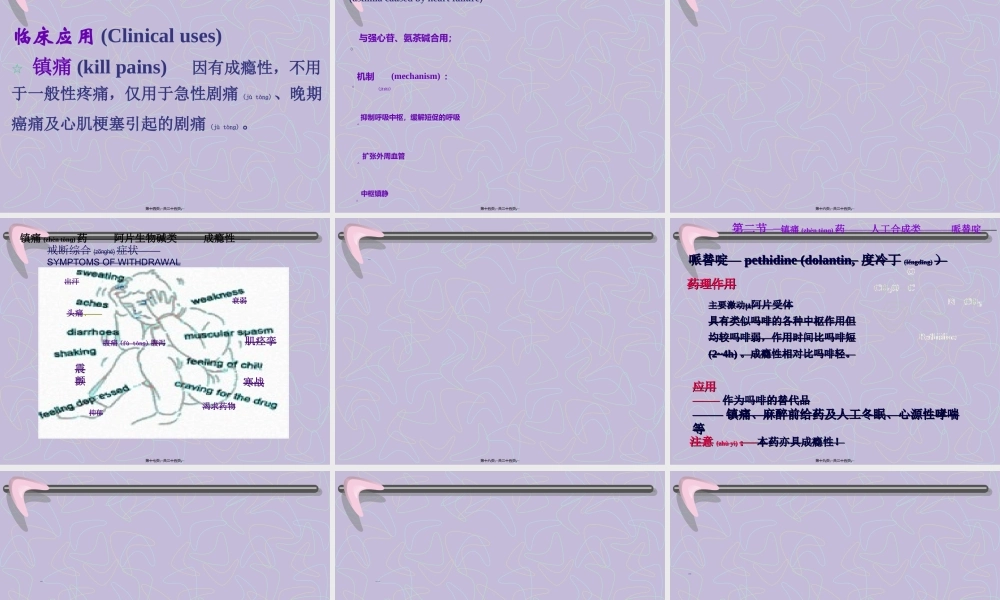 2022年医学专题—第16章镇痛药-毛理纳.ppt