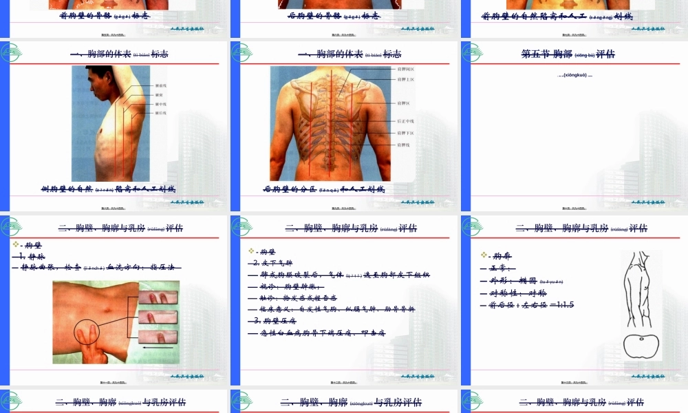 2022年医学专题—第五节-胸部评估.ppt