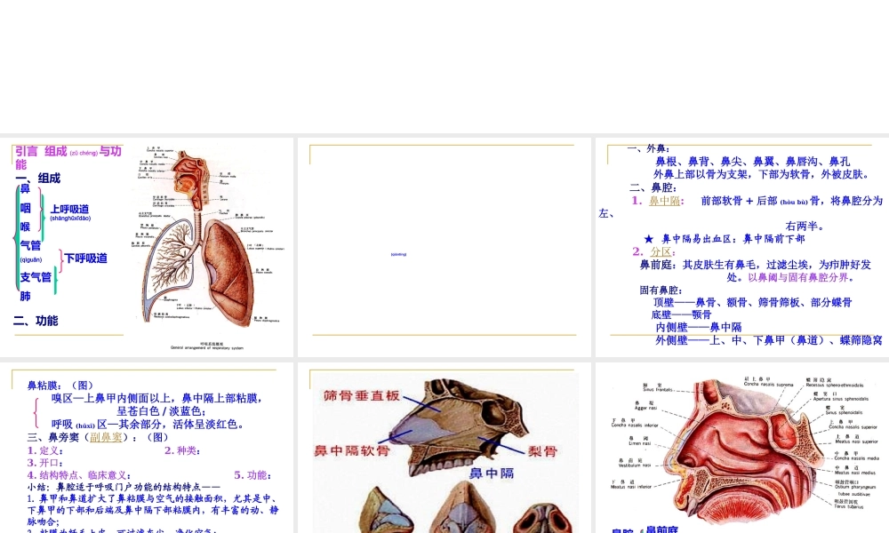 2022年医学专题—第六章---呼吸系统.ppt