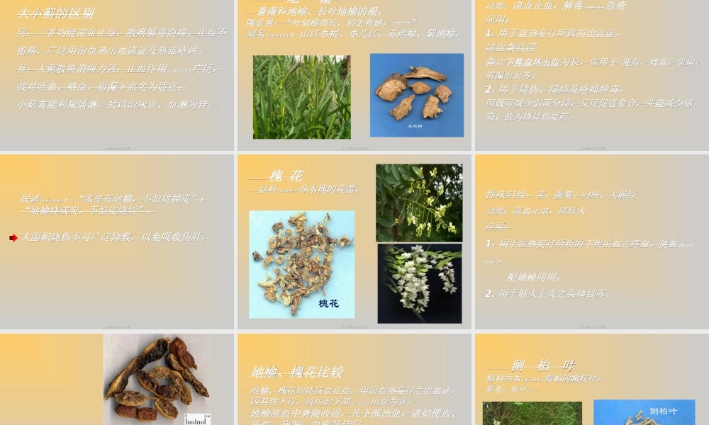 2022年医学专题—第十八章-止血药(新)分析.ppt