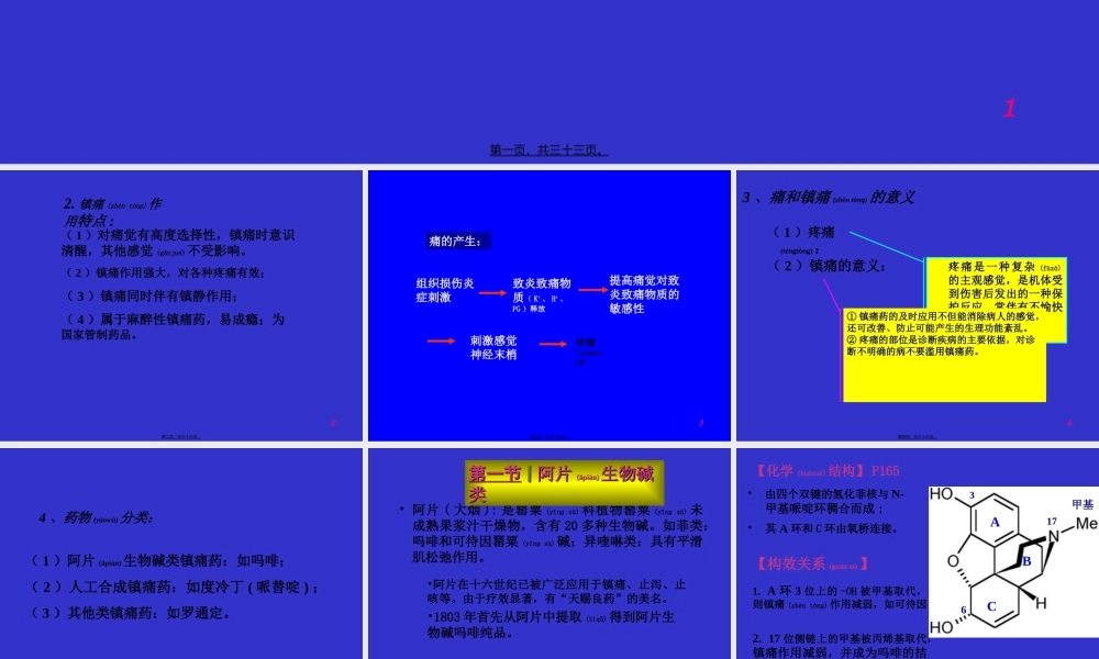 2022年医学专题—第十六节-镇痛药.ppt