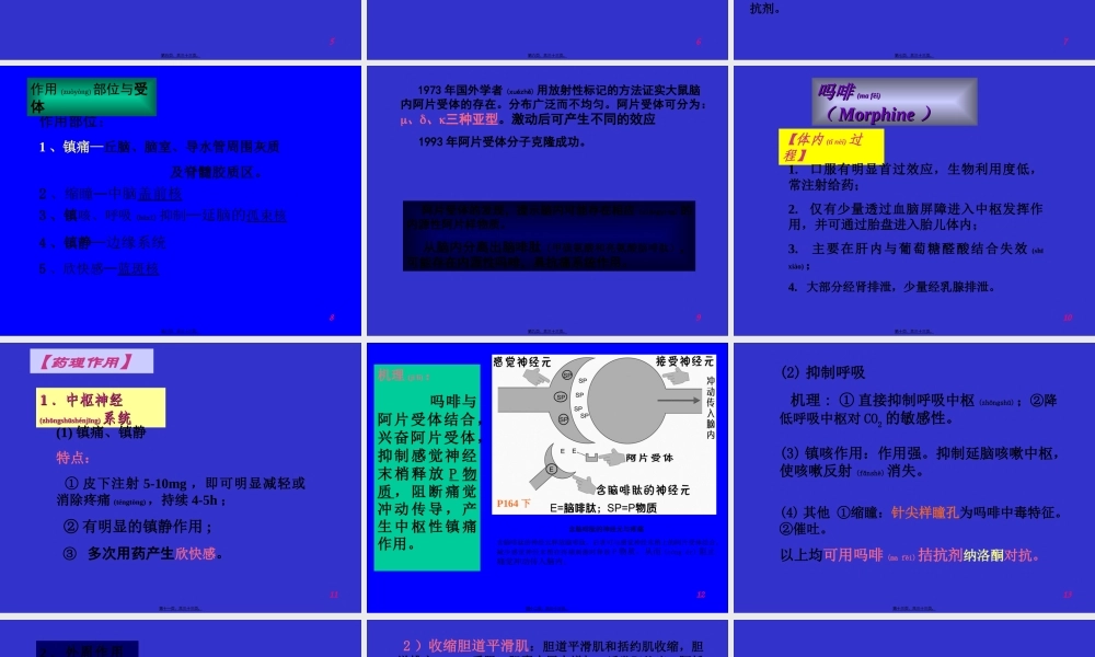 2022年医学专题—第十六节-镇痛药.ppt