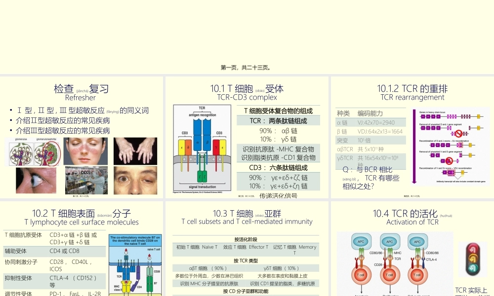 2022年医学专题—第十讲-T淋巴细胞与细胞因子(上).pptx