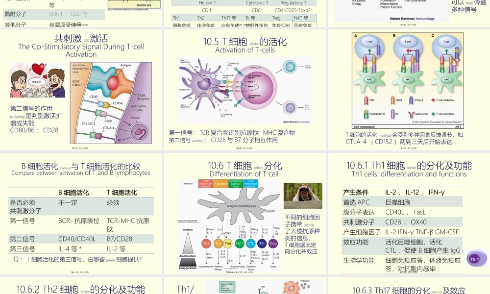 2022年医学专题—第十讲-T淋巴细胞与细胞因子(上).pptx